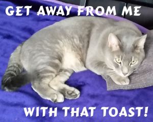Tom and toast