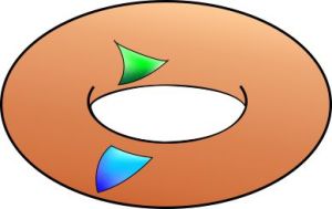 Torus curvature