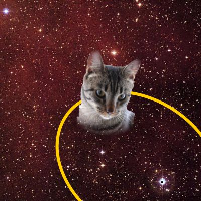 Tabby in orbit