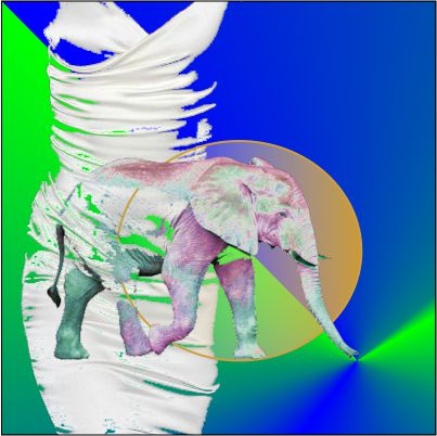 White satin and elephant