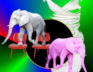 elephants and chairs
