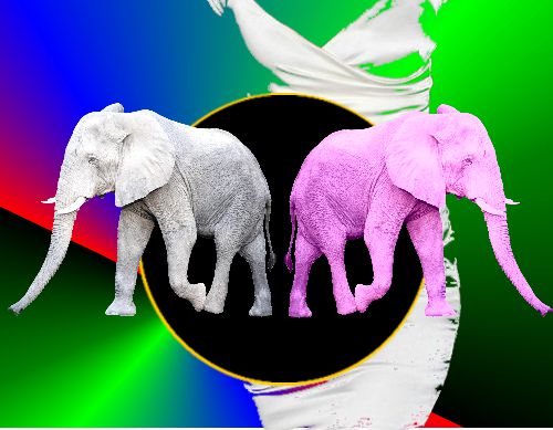 white satin and 2 elephants