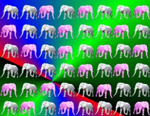 many elephants